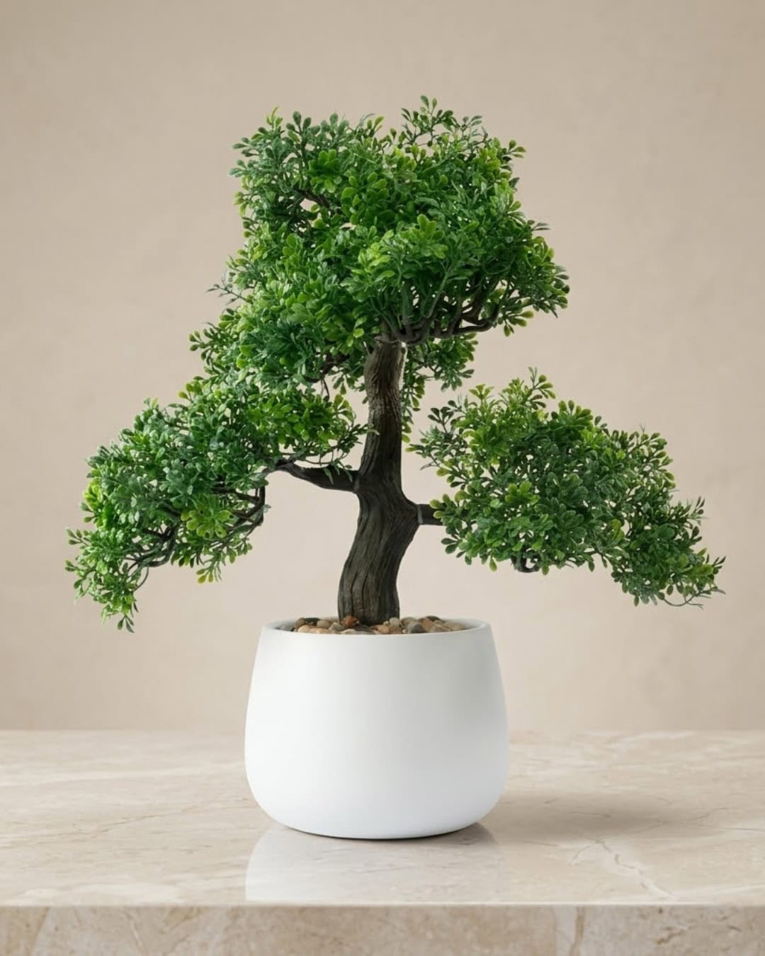 Bonsai tree