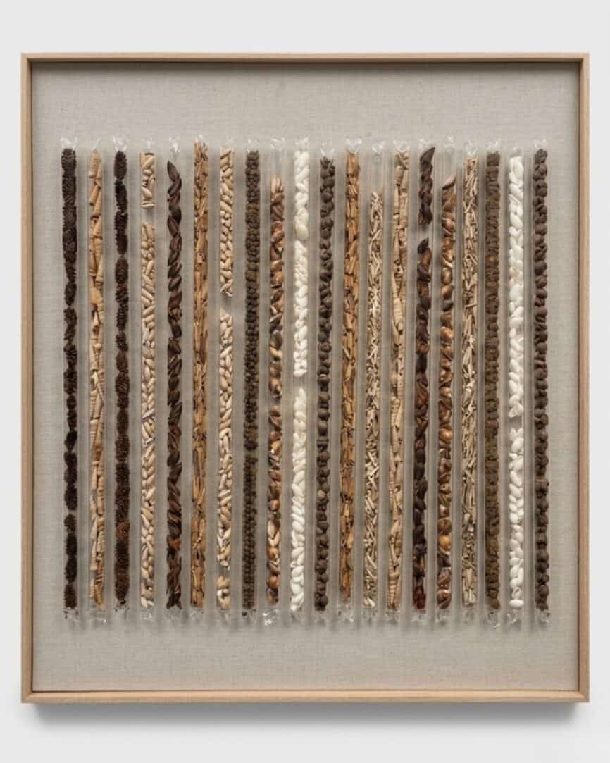 Brown With Tubed Encased Shells Wall Art