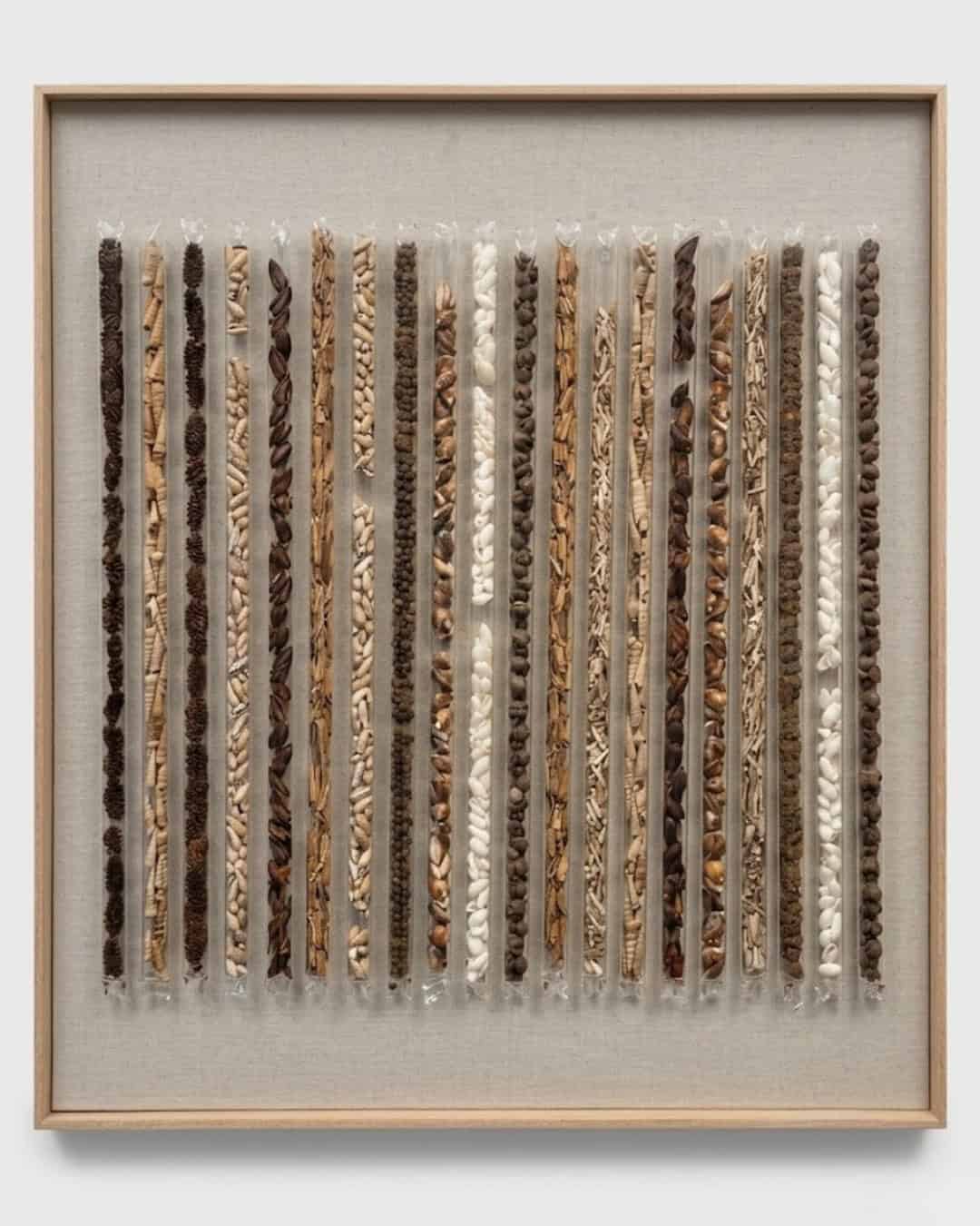 Brown With Tubed Encased Shells Wall Art