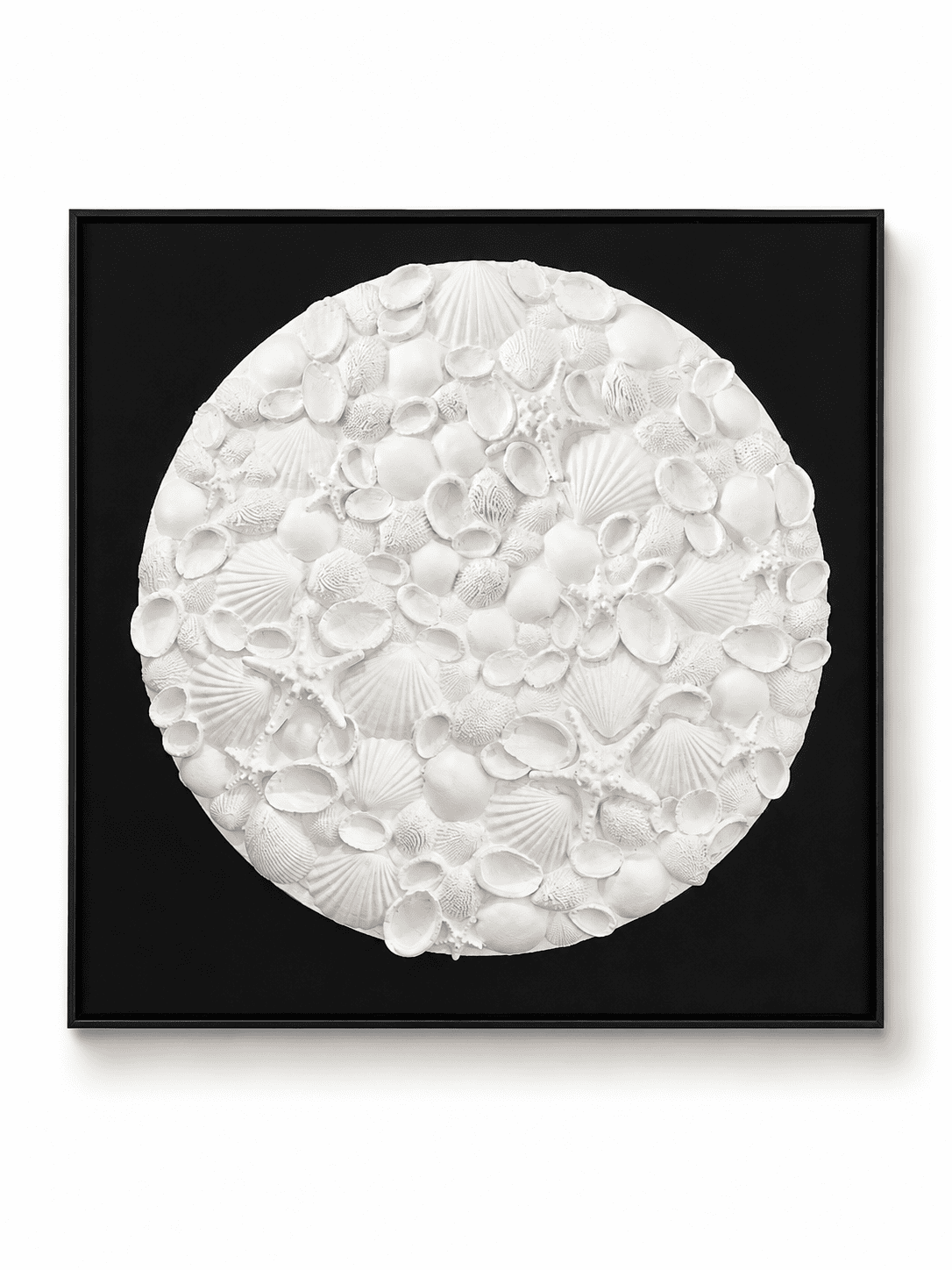 Black Background With White Circular Shell Art Work