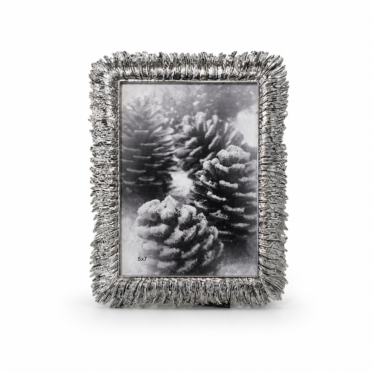 Silver Tone Feathered Photo frame 5 x 7.