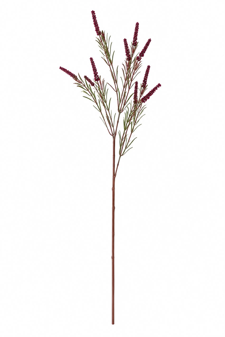 Amaranthus spray single stem - Image 2