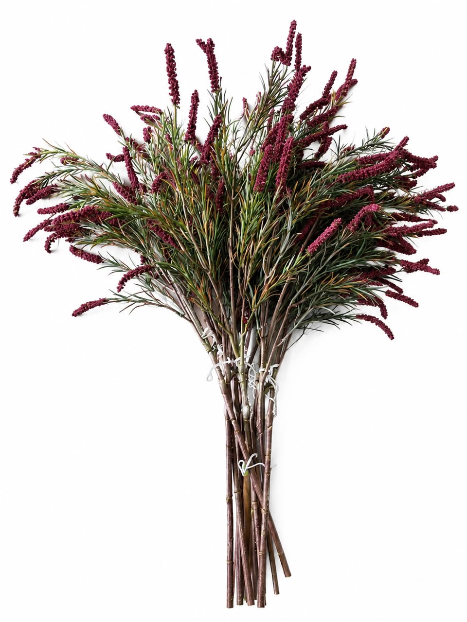Amaranthus spray single stem