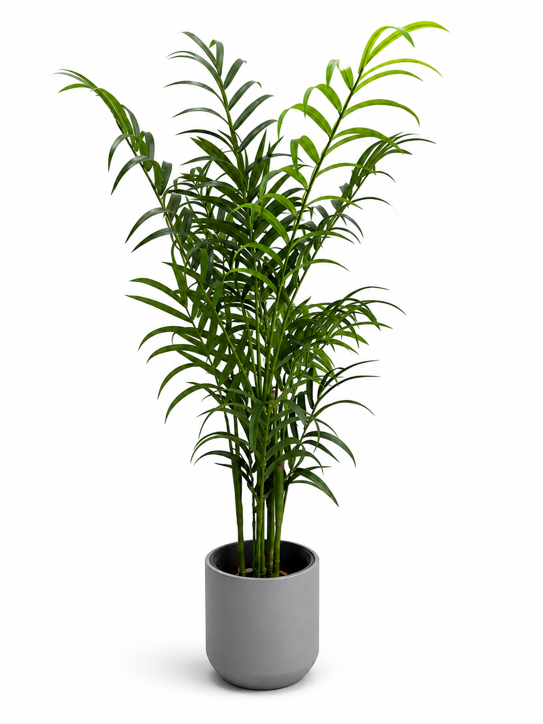 Big Grey And Black Planter