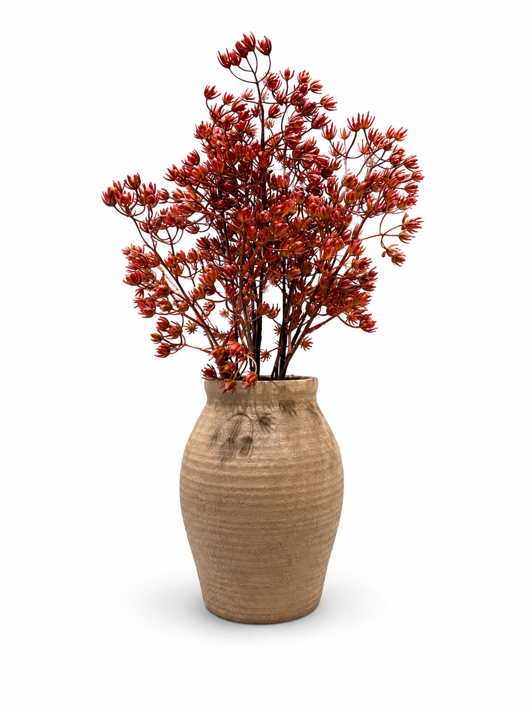 Burgundy Baby Breath flowers In Beige Pot