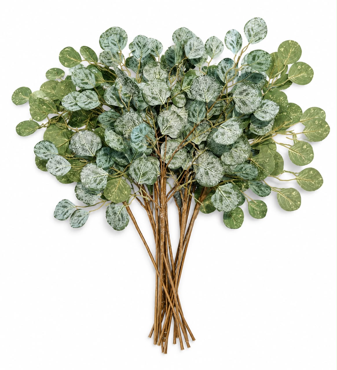 Eucalyptus Stems -Green - Image 2