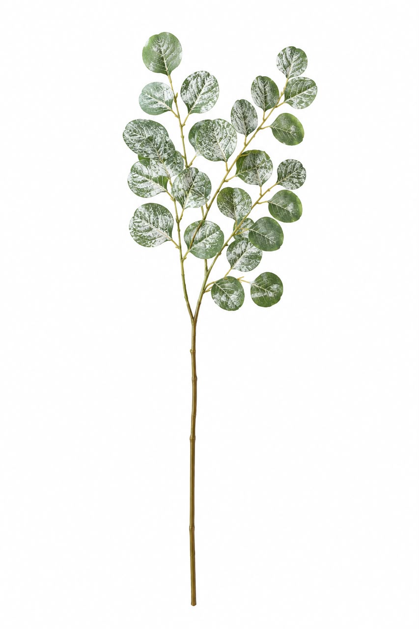 Eucalyptus Stems -Green