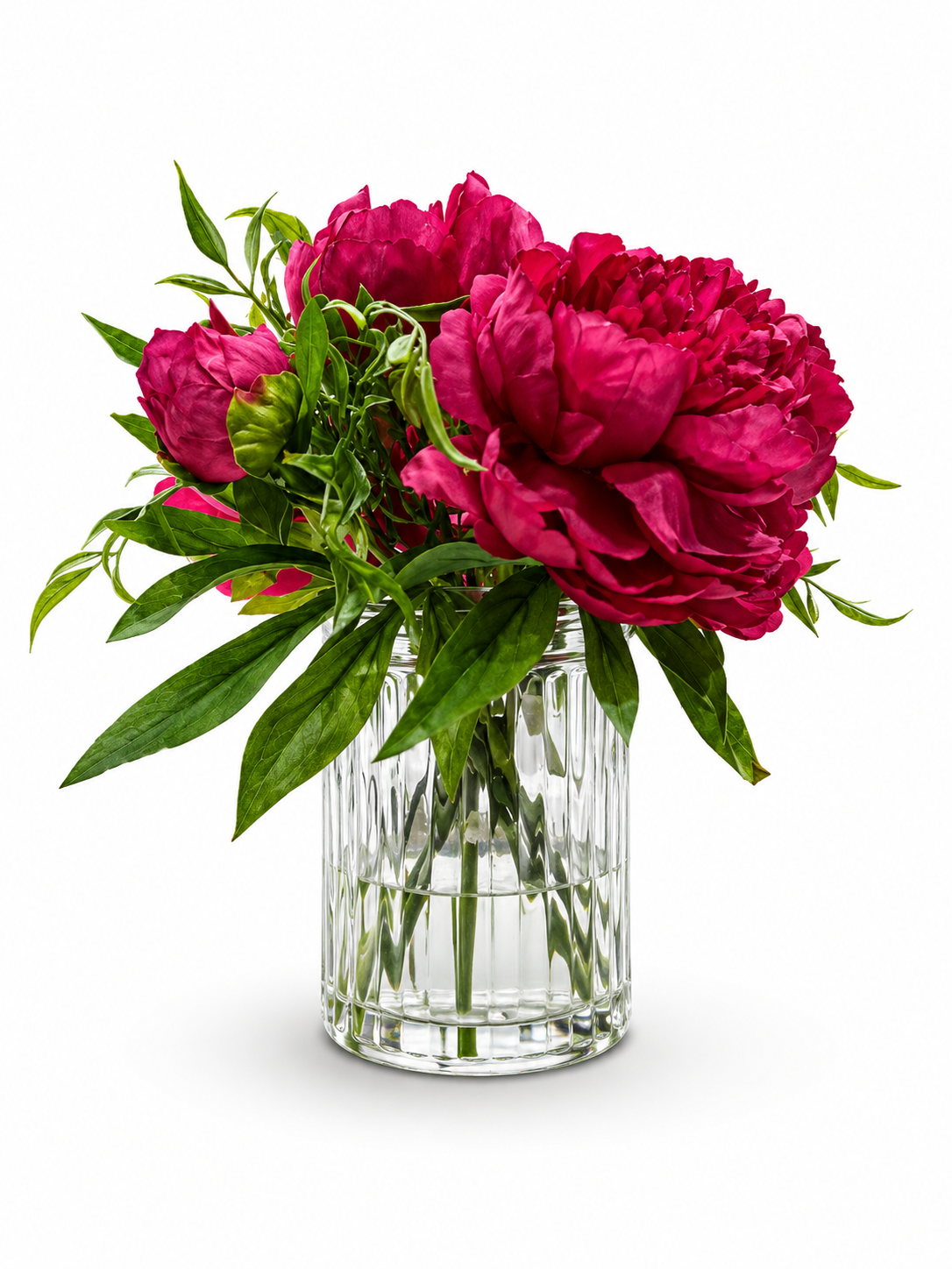 Fuschia Pink Peony In Clear Vase