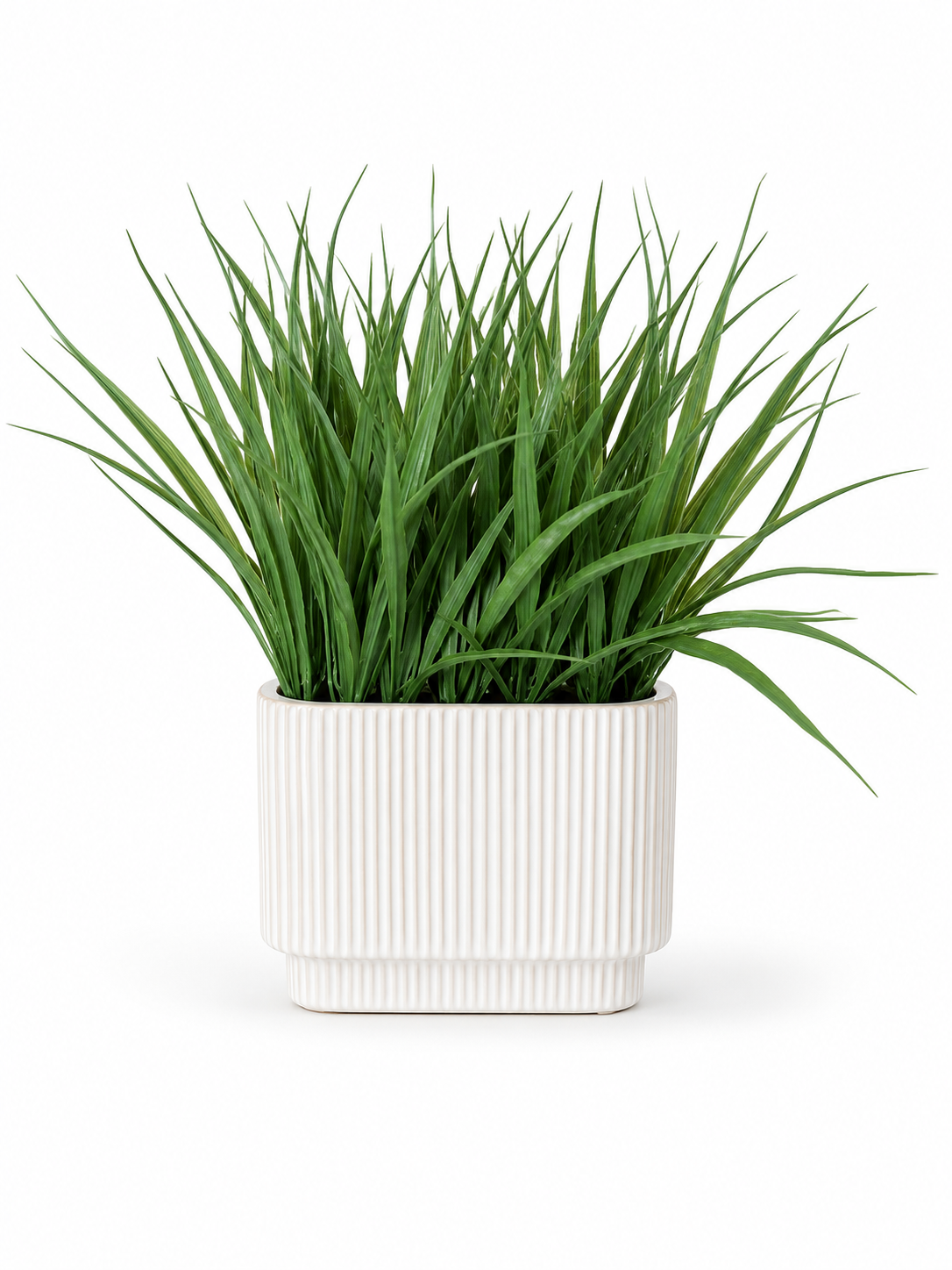 Grass In Ribbed Pot