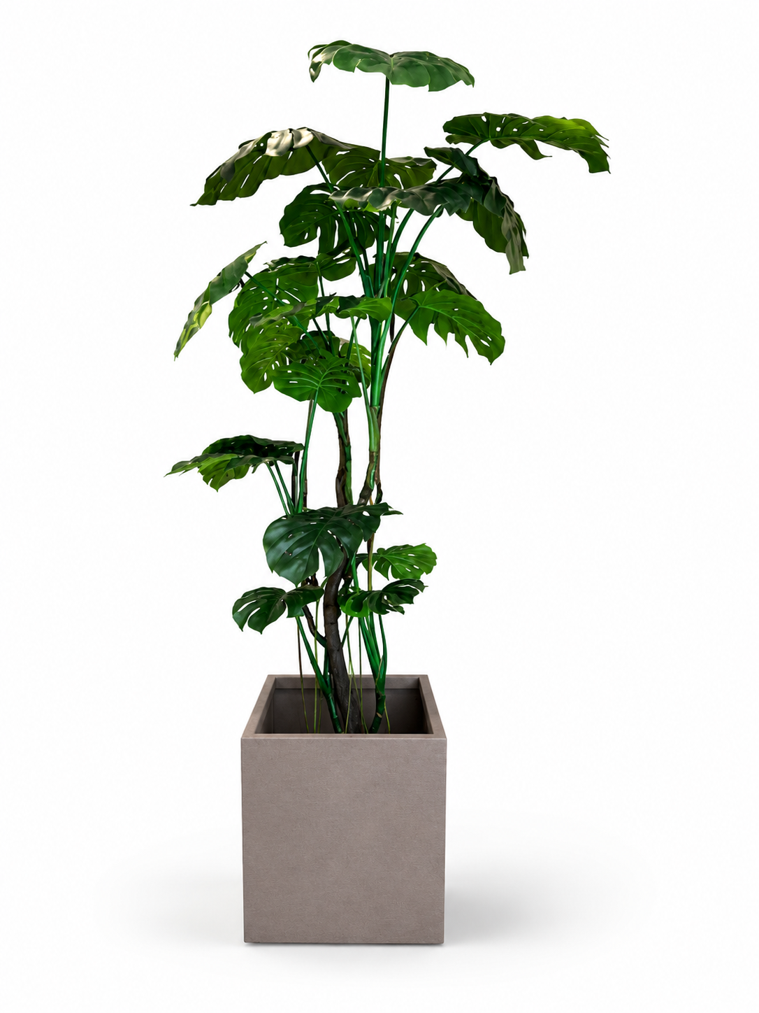 Large Brown Square Stone Planter 50×50×50CM