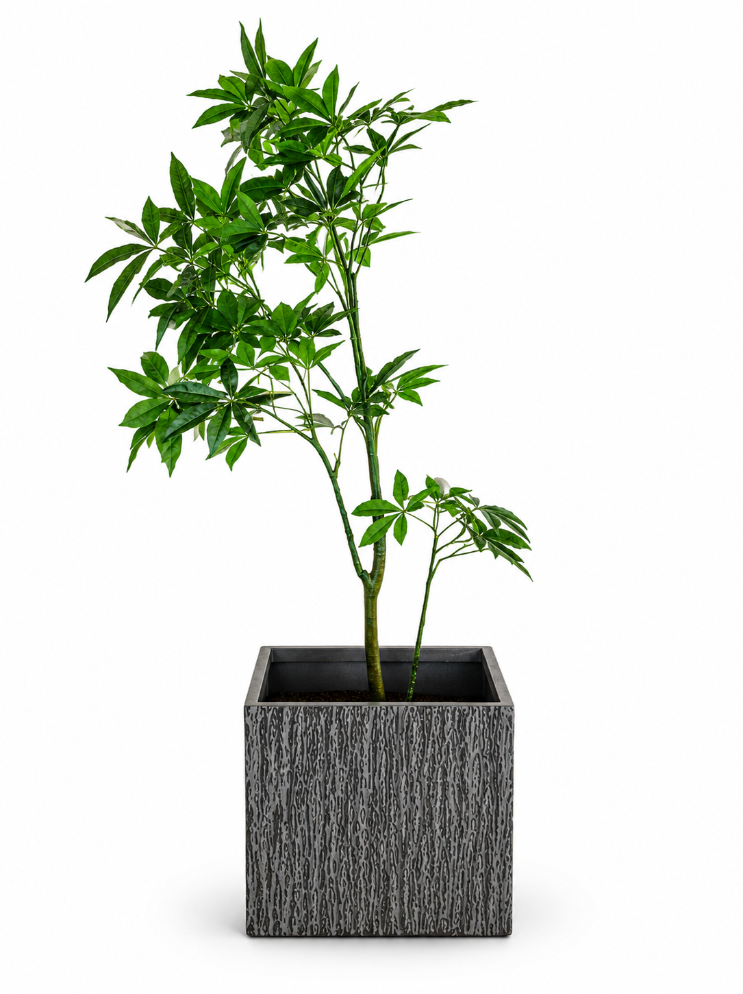 Large Grey Textured Square Planter 50×50×50cm
