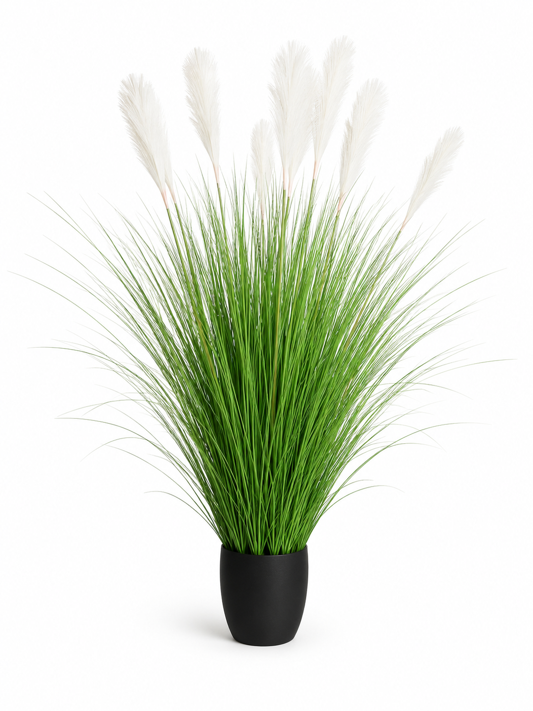 Large Natural Green Pampas Grass