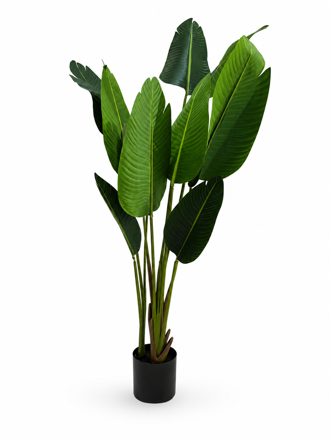 Medium Real Touch Banana Plant 180cm
