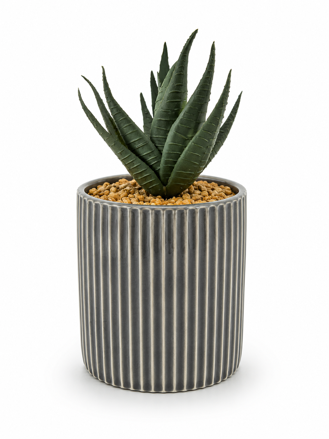 Mini Aloe In Grey Pot 18cm X 9.5cm