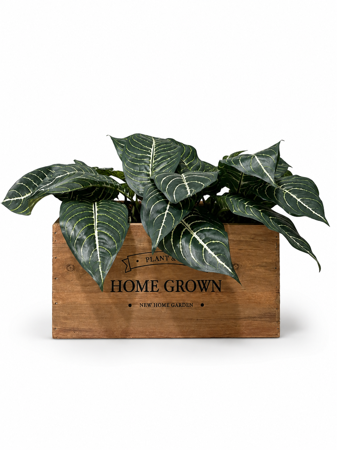Plant In Rectangular Wood Trough