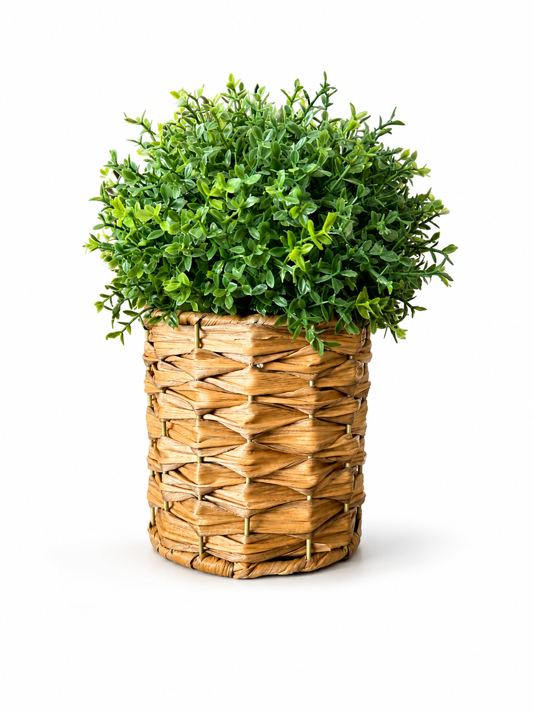 Plant In Woven Basket