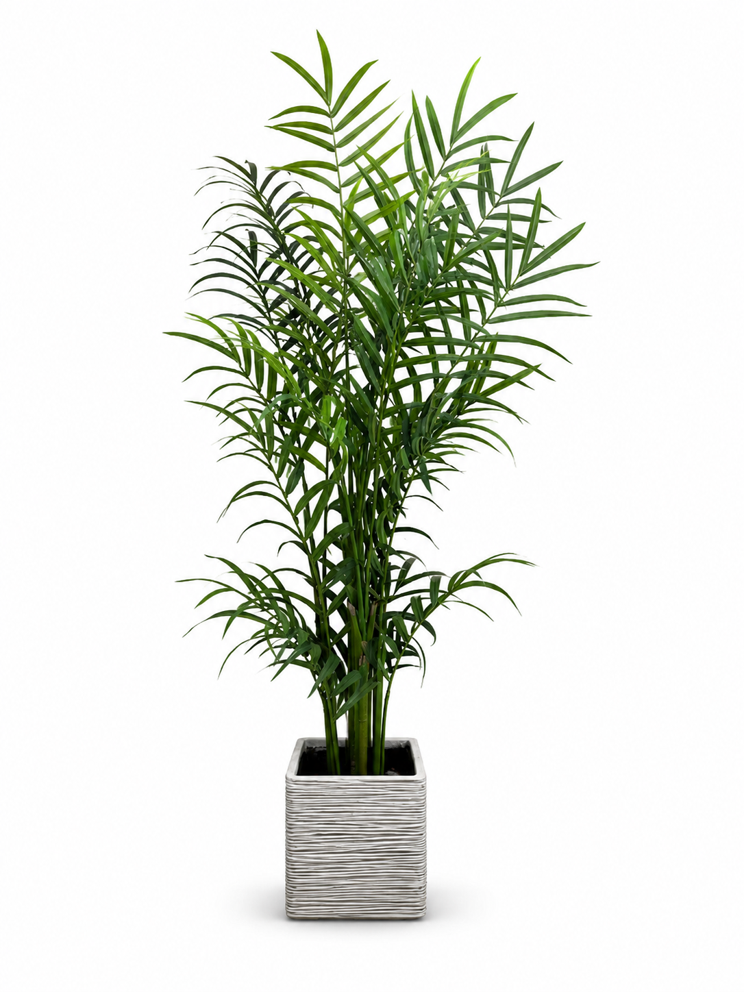 Ribbed Square Ceramic Planter