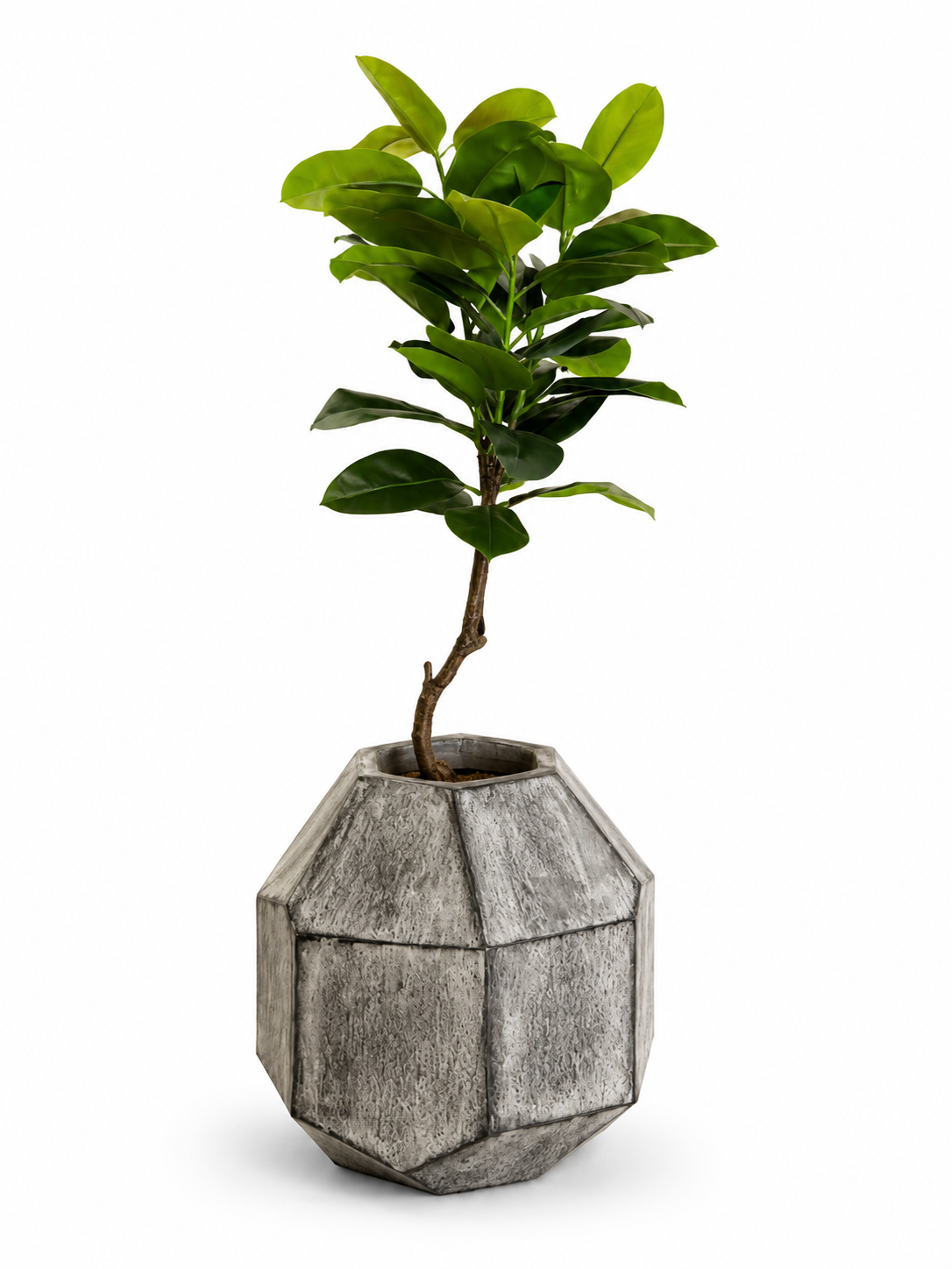 Small Earth -White Hexagonal Planter