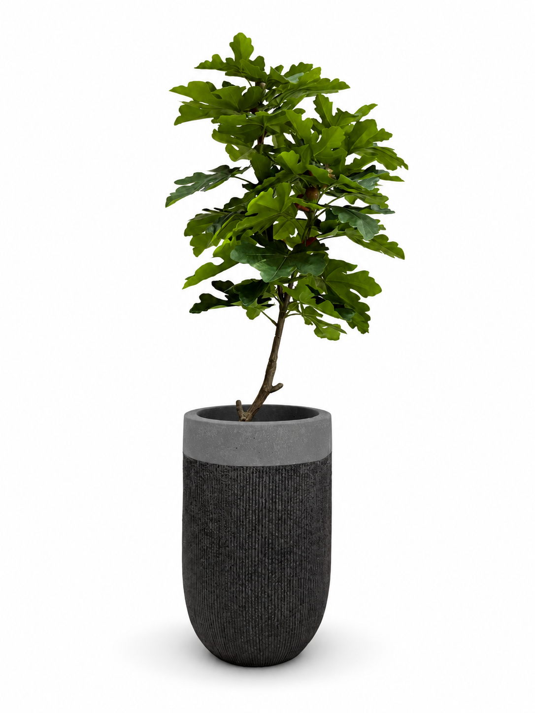 Small Tall Grey Textured Stone Planter 39×39×70cm