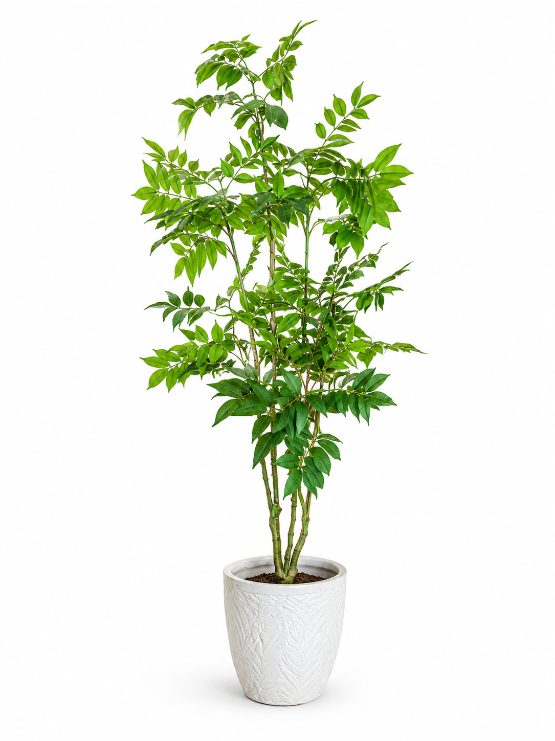 White Textured Planter - Image 2
