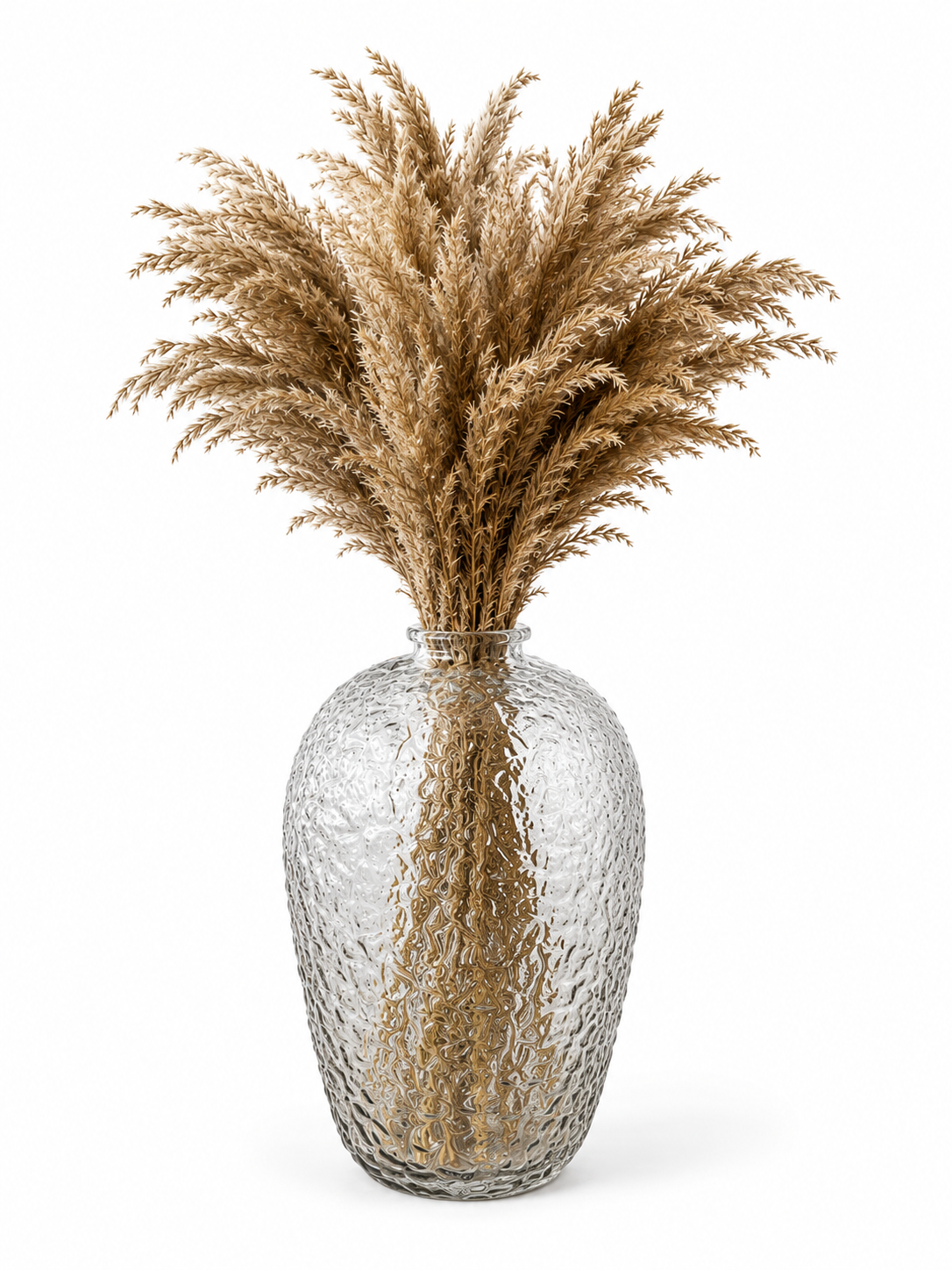 Dried Cortaderia