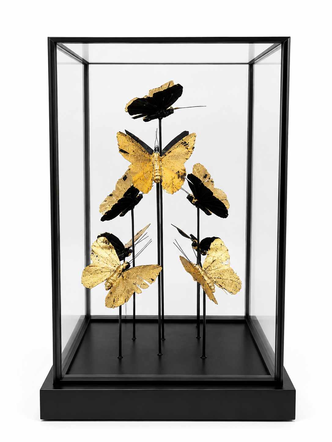 Gold Butterfly In Square Dome