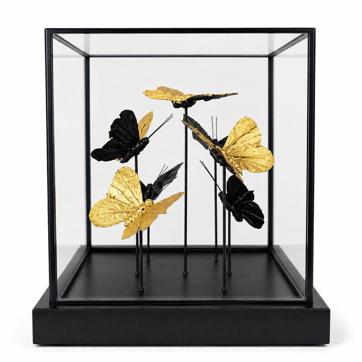Gold Butterfly In Square Dome - Image 2